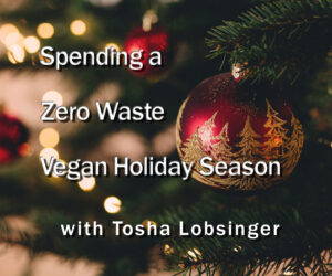 Spending a Zero Waste Vegan Holiday Season, with Tosha Lobsinger of Peace People Project