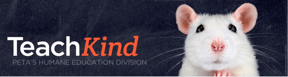 A header-sized image with a white mouse looking directly into the camera and the words "TeachKind: PETA's Humane Education Division" next to the mouse.