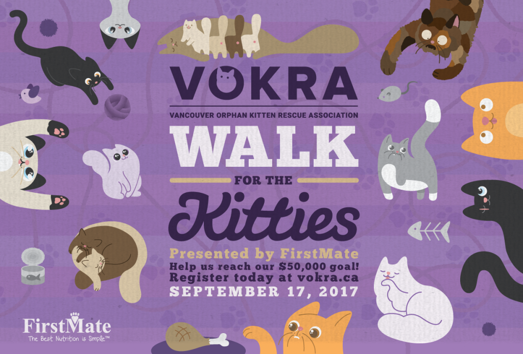 Support VOKRA by walking for kitties on September 17th!